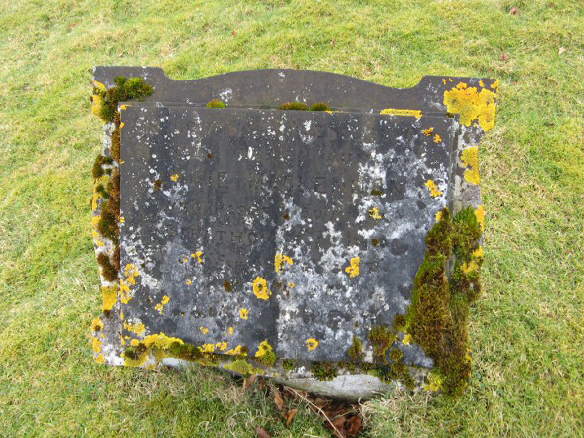 Photo of headstones/Anne MacLennan (Chisholm) died 1947 MI Fodderty